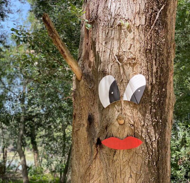 Ma dove vivono i cartoni!?