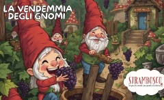 La Vendemmia degli Gnomi 2026